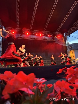 Poletje v Kamniku_Šinšin (57)
